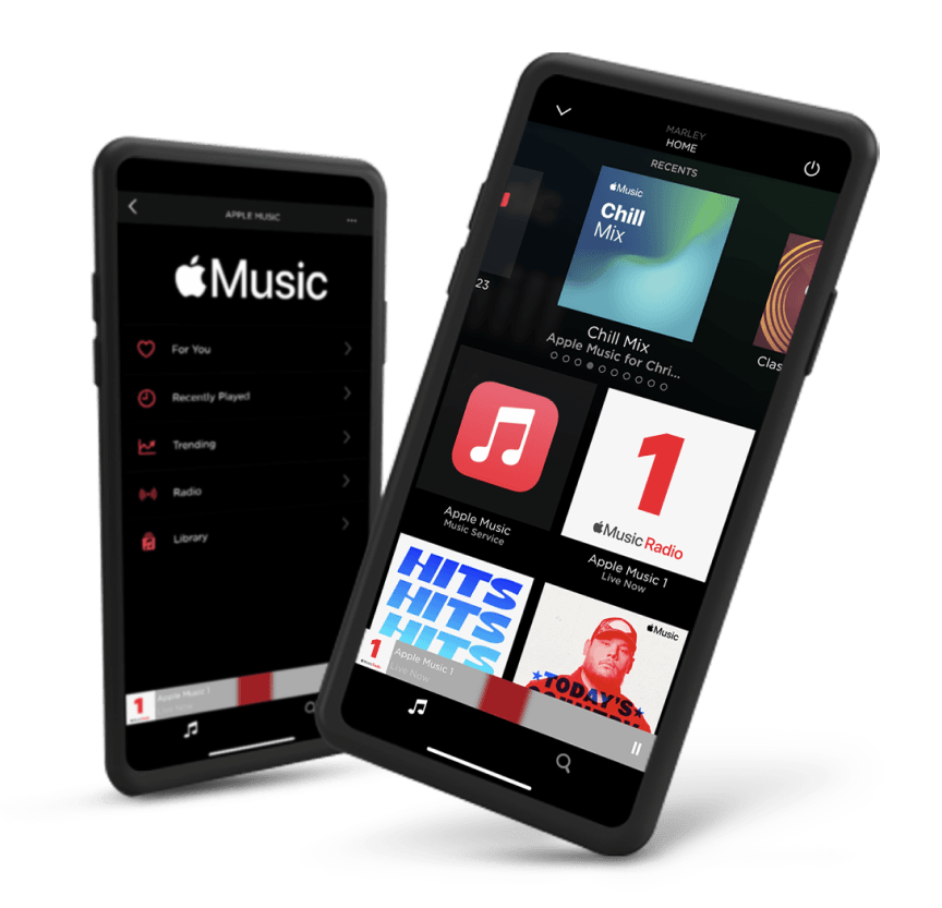 Pantalla oficial de Apple Music integrada en la app Savant